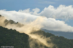 Mount Kinabalu  - Zum Vergroessern klicken!